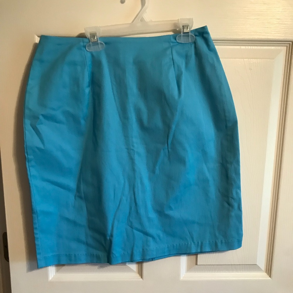Women’s skirt by Briggs New York. Size 12 NWT.